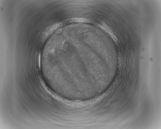 X0000085840014200704091735