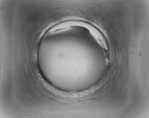 X0000085840015200704091735