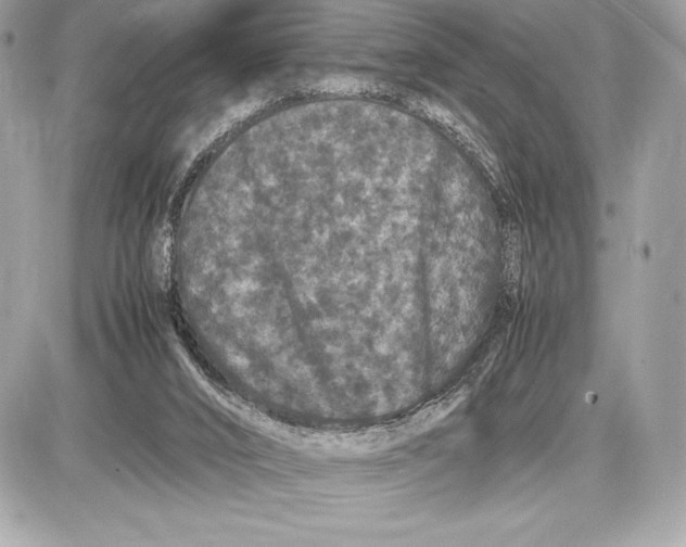 X0000085840016200704091735