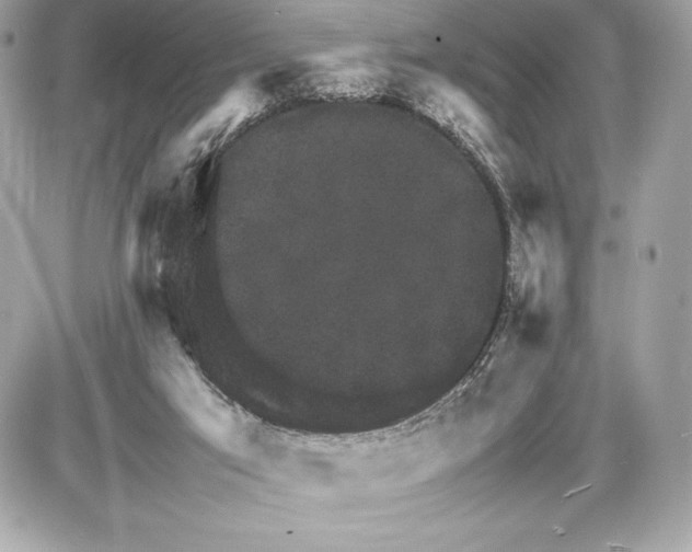 X0000085840017200704091735