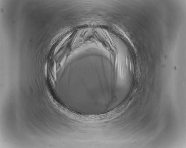 X0000085840019200704091735