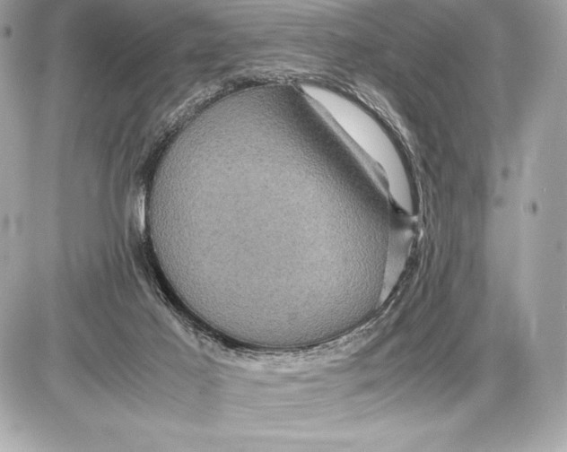 X0000085840021200704091735