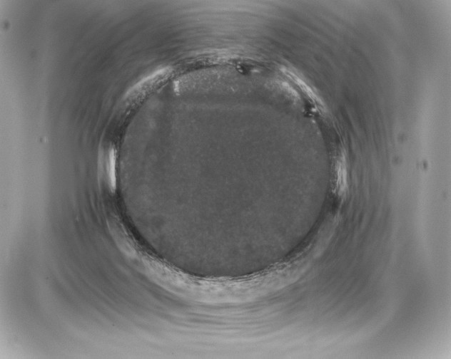 X0000085840022200704091735