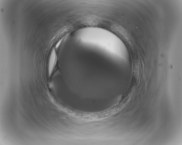 X0000085840023200704091735