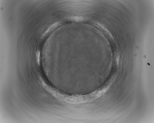 X0000085840024200704091735