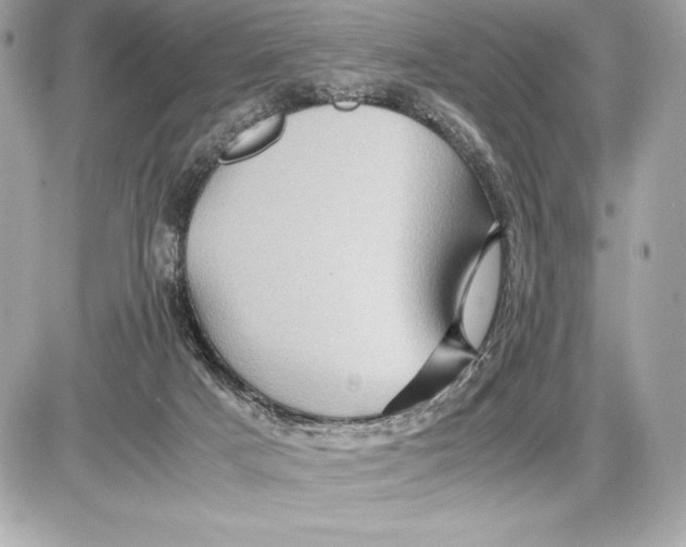 X0000085840025200704091735