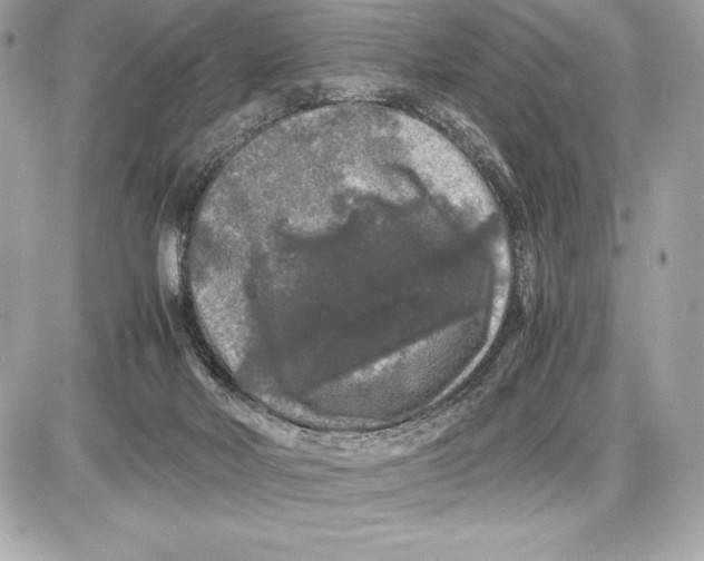 X0000085840026200704091735