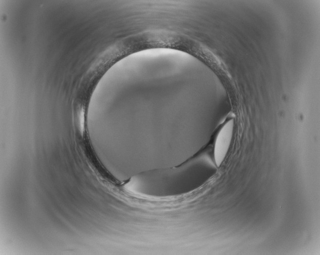 X0000085840027200704091735