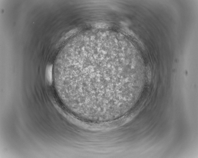 X0000085840028200704091735