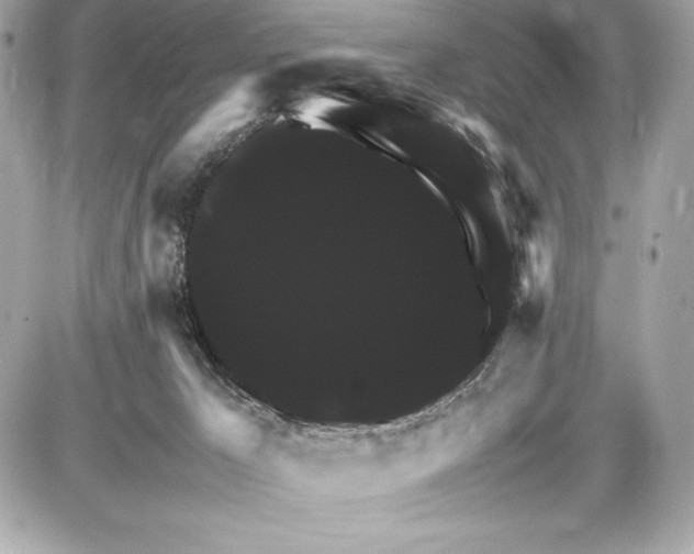 X0000085840029200704091735