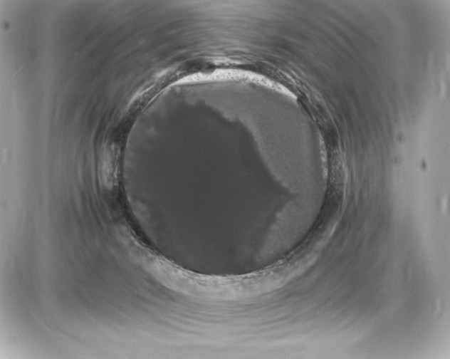 X0000085840030200704091735