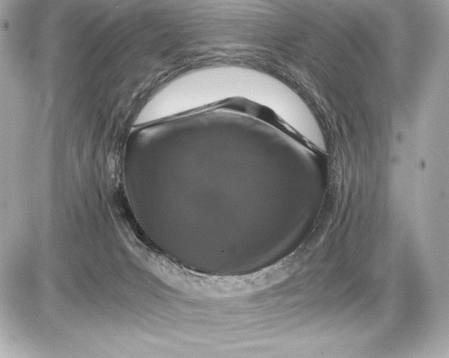 X0000085840031200704091735