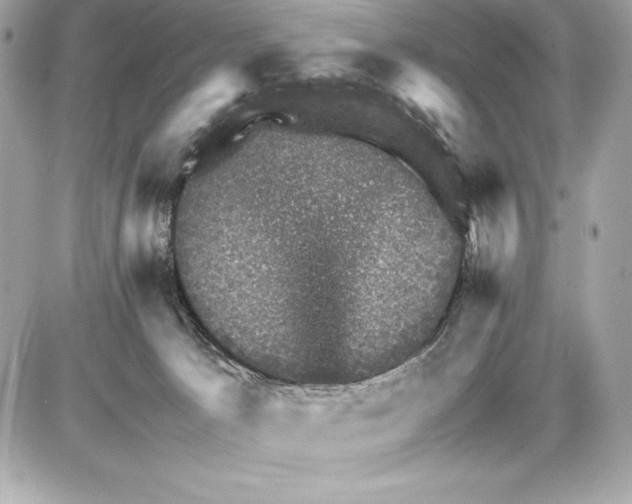 X0000085840033200704091735