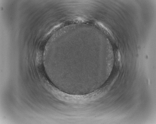 X0000085840034200704091735