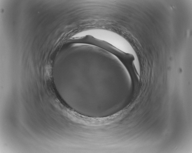 X0000085840035200704091735