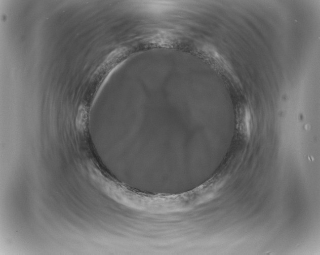 X0000085840036200704091735