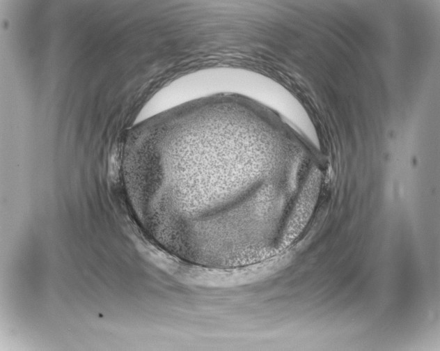 X0000085840037200704091735