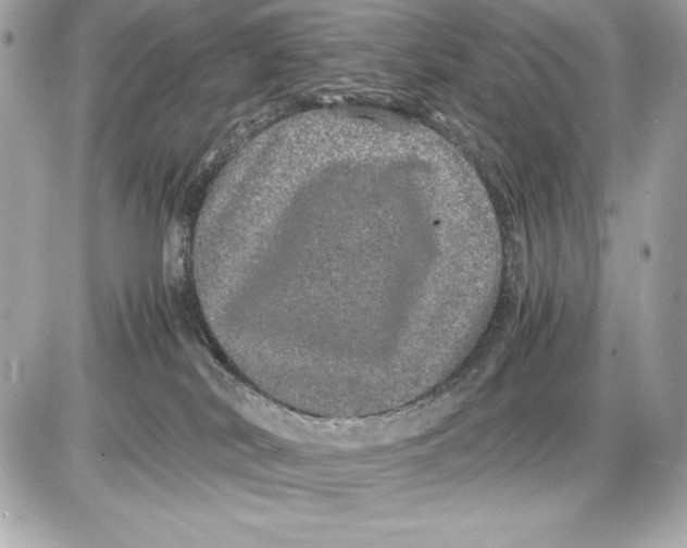 X0000085840038200704091735