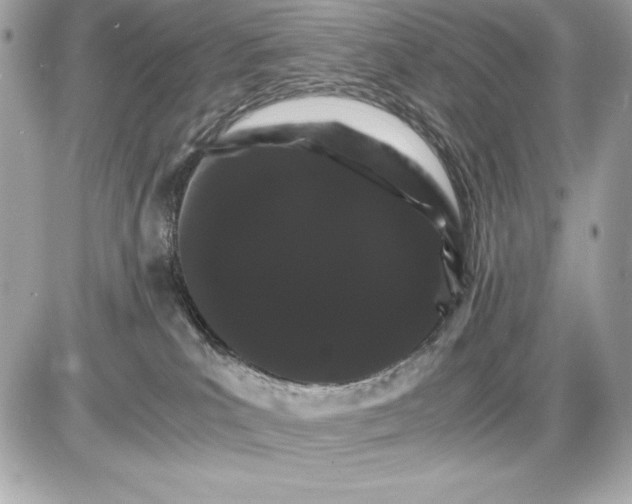 X0000085840039200704091735