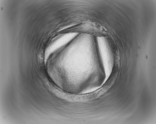 X0000085840040200704091735