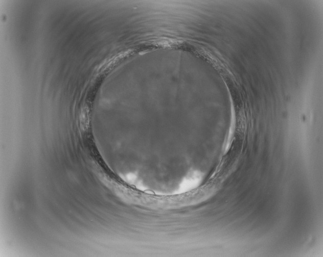 X0000085840043200704091734