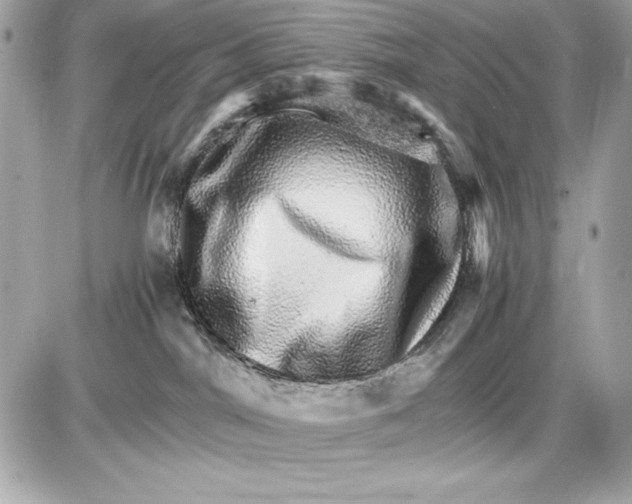 X0000085840044200704091734