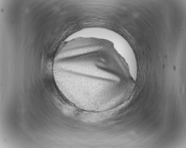 X0000085840045200704091734