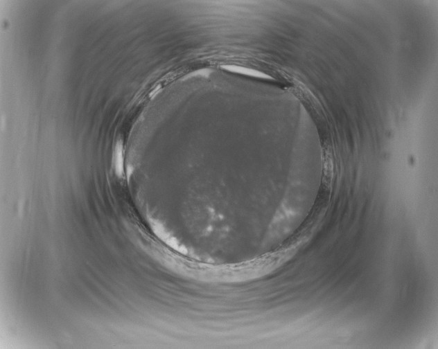 X0000085840046200704091734