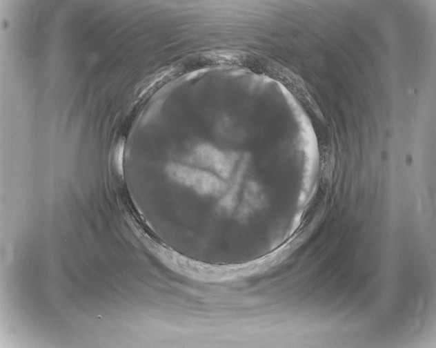 X0000085840047200704091734