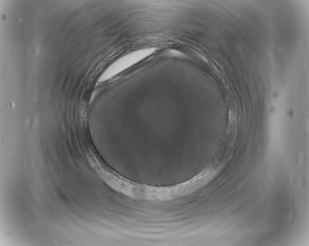 X0000085840048200704091734