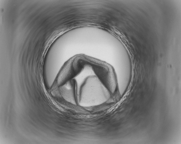 X0000085840049200704091734