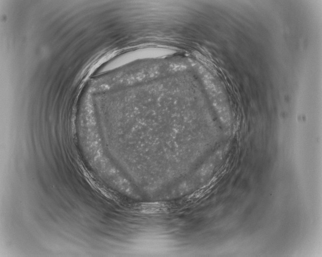 X0000085840050200704091734