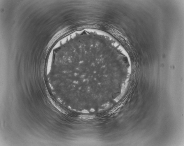 X0000085840051200704091734