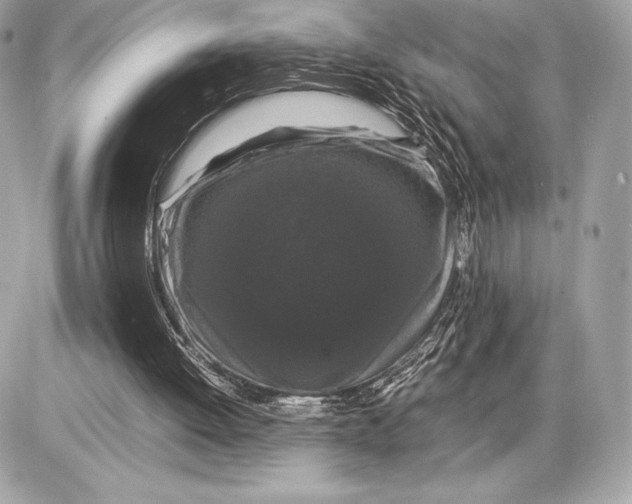 X0000085840052200704091734