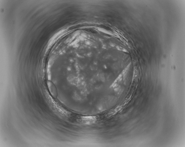 X0000085840053200704091734