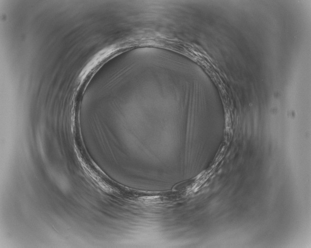 X0000085840054200704091734