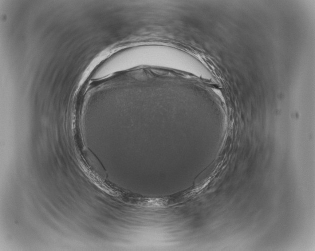 X0000085840056200704091734