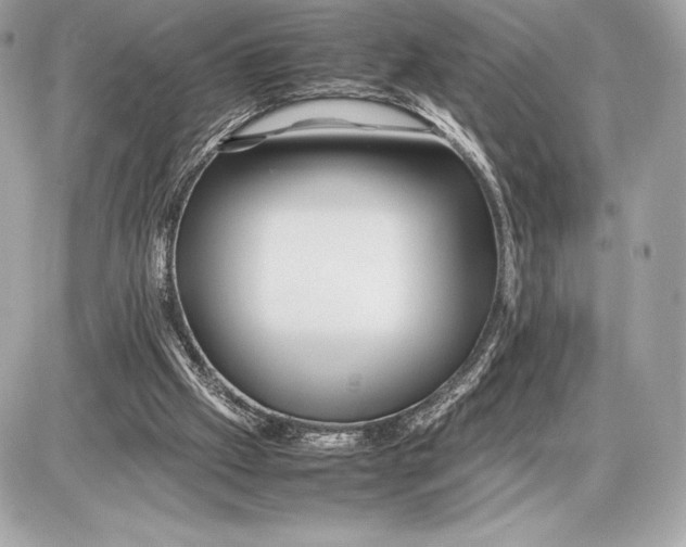 X0000085840057200704091734