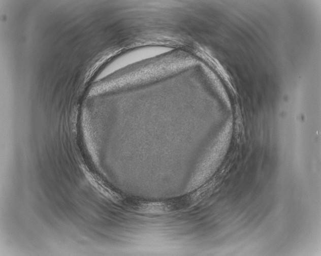 X0000085840058200704091734