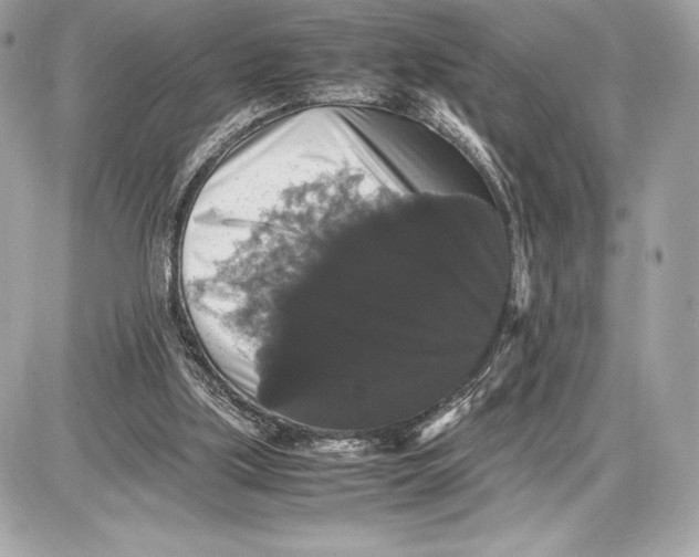 X0000085840059200704091734