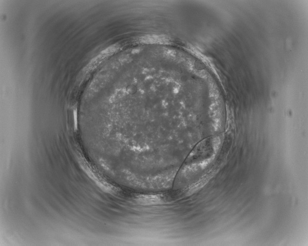 X0000085840061200704091734