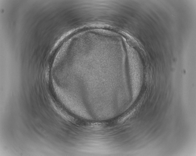 X0000085840064200704091734