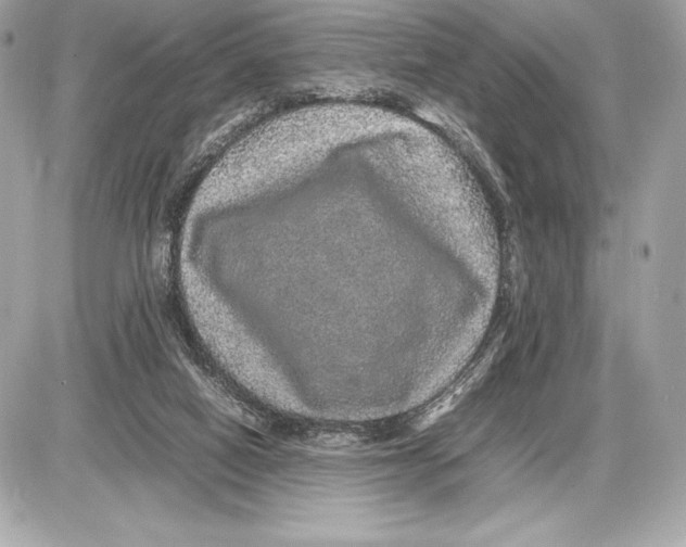 X0000085840066200704091734