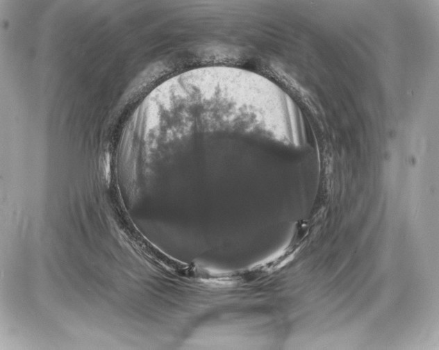 X0000085840067200704091734