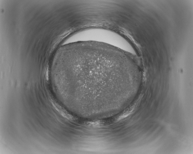 X0000085840068200704091734