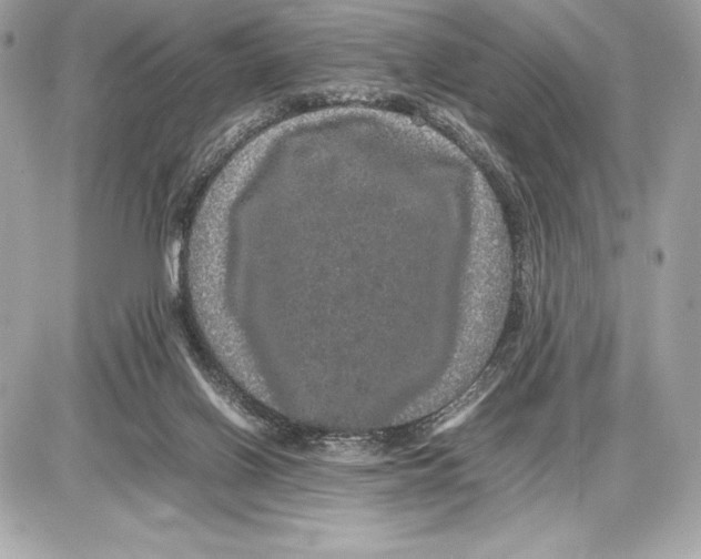 X0000085840070200704091734