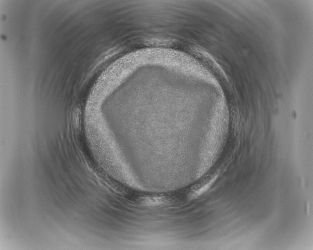 X0000085840071200704091734