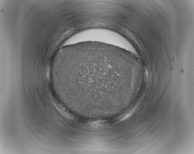 X0000085840072200704091734