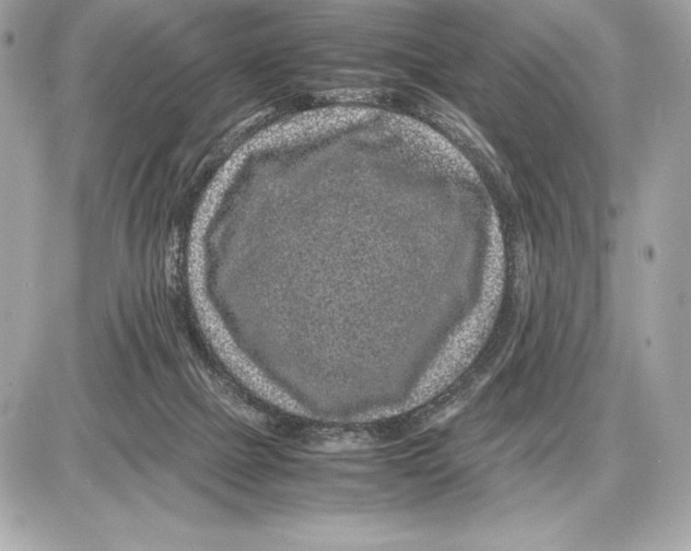 X0000085840073200704091734