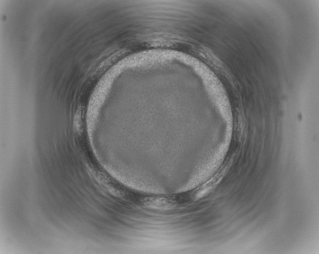 X0000085840074200704091734